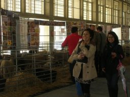 phoca_thumb_l_noviembre 019